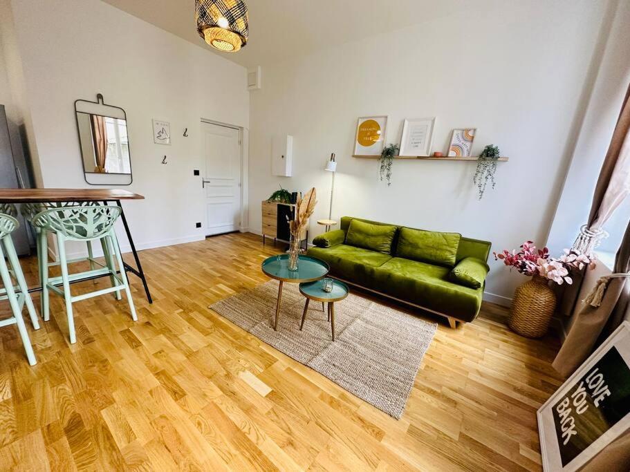 F2 Cosy Place Jean Jaures 생테티엔 외부 사진